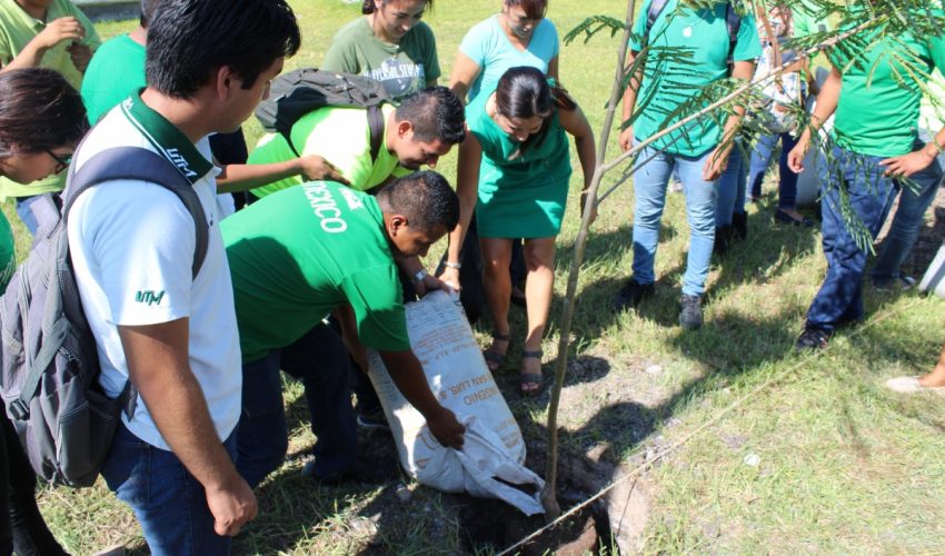 Trabaja la Universidad Tecnológica de Matamoros “Por una UT Más Verde”
